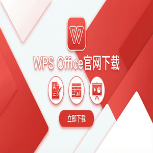 WPS Office财务管理应用