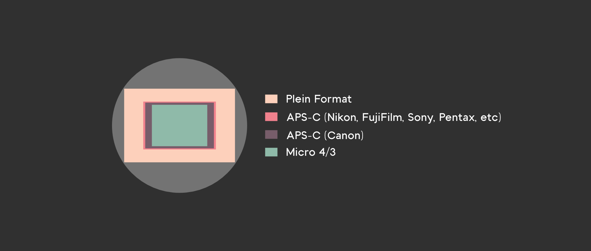 taille de capteur APS-C Plein Format Micro 4/3